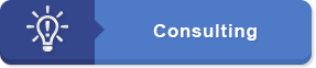 Consulting
